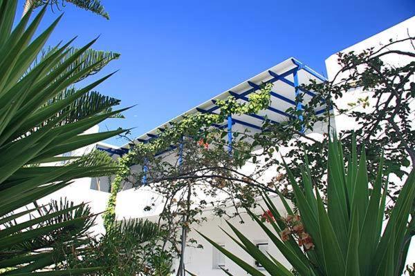 Loukia Apartments & Studios Nausa Exteriér fotografie